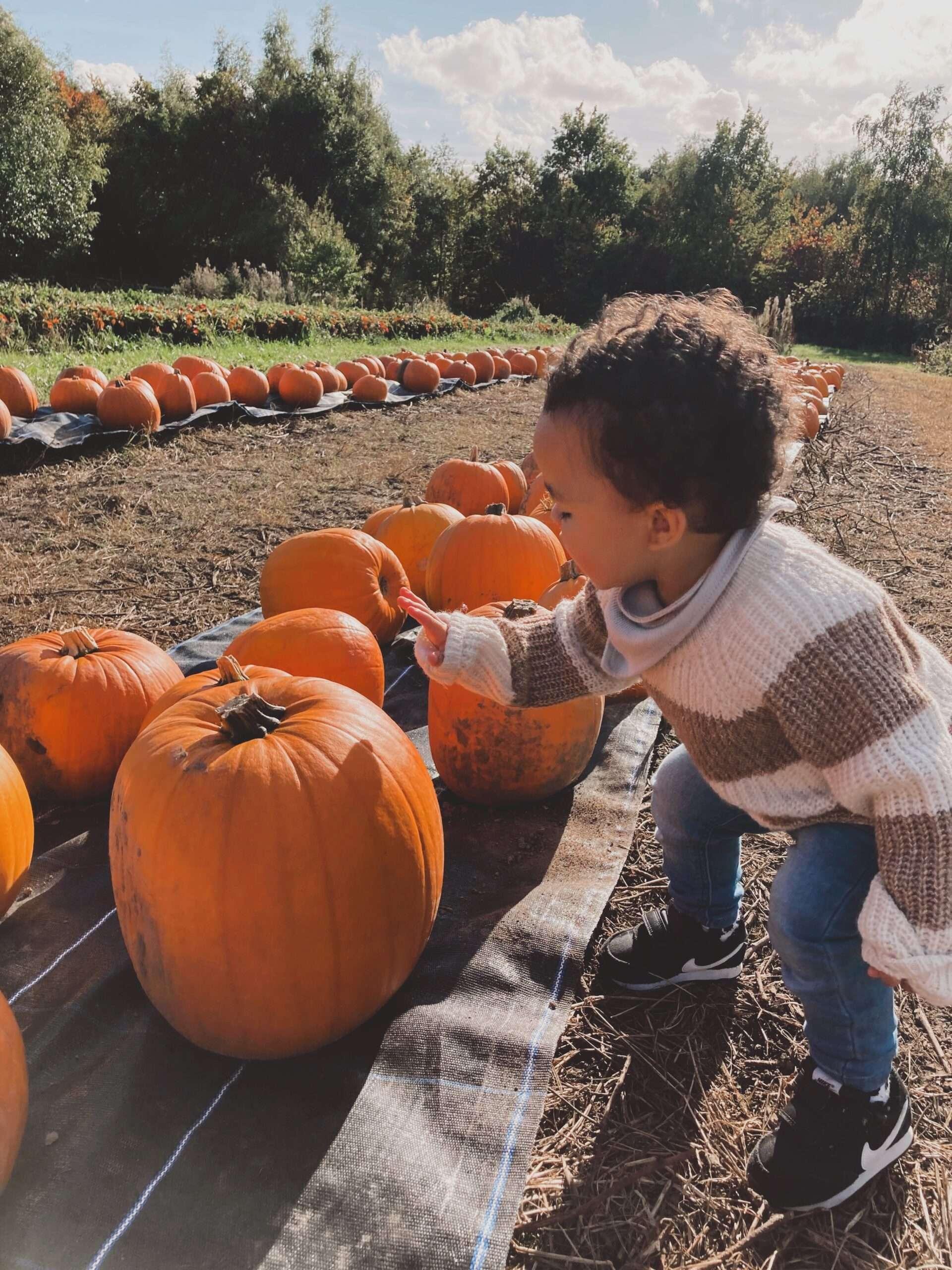 Pumpkin Patch Outfit Ideas