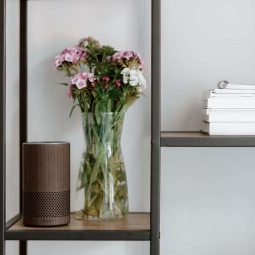 a brown speaker on the shelves